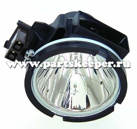 R9842020, лампа (модуль)
